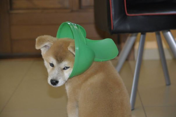 Prowd Of Miself !! Yap Take Photos I Look Cute !