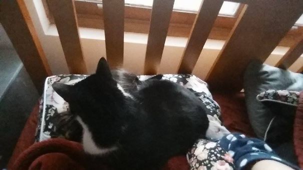 Don't Worry, I Don't Need To Breathe!