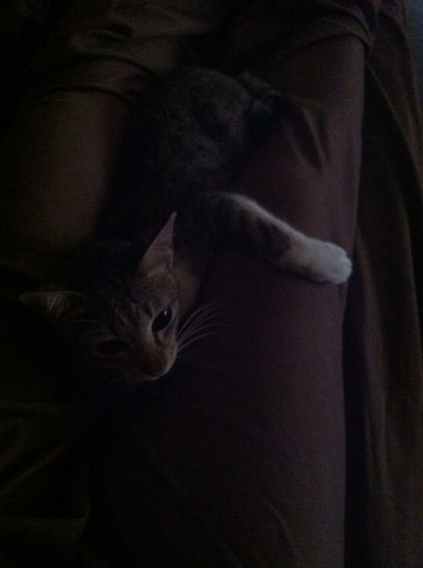 Woke Up And It Was Like This :)