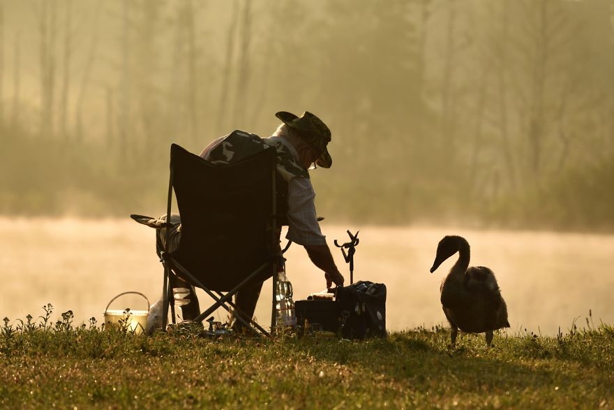 The True Story Of An Ugly Duckling Who Was Abandoned By Its Parents And Adopted By Ducks The True Story Of An Ugly Duckling Who Was Abandoned By Its Parents And Adopted By Ducks