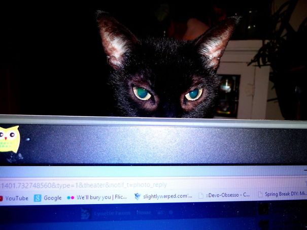 Loopie-loo. I Never Get Used To This.