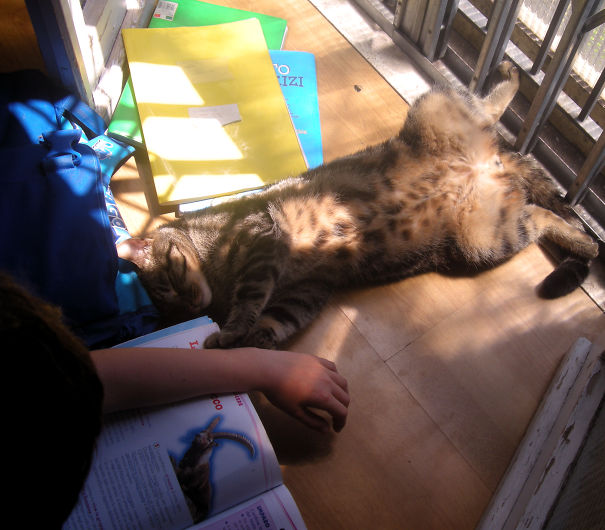 When My Son Studies...