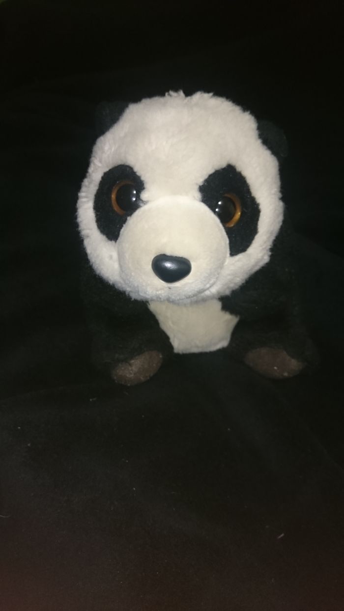 Lin Lin The Cutest Panda