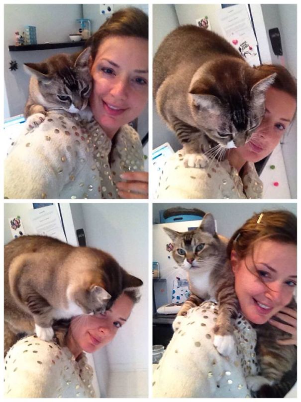 Kitty Cuddle Back Attack By Gizmo