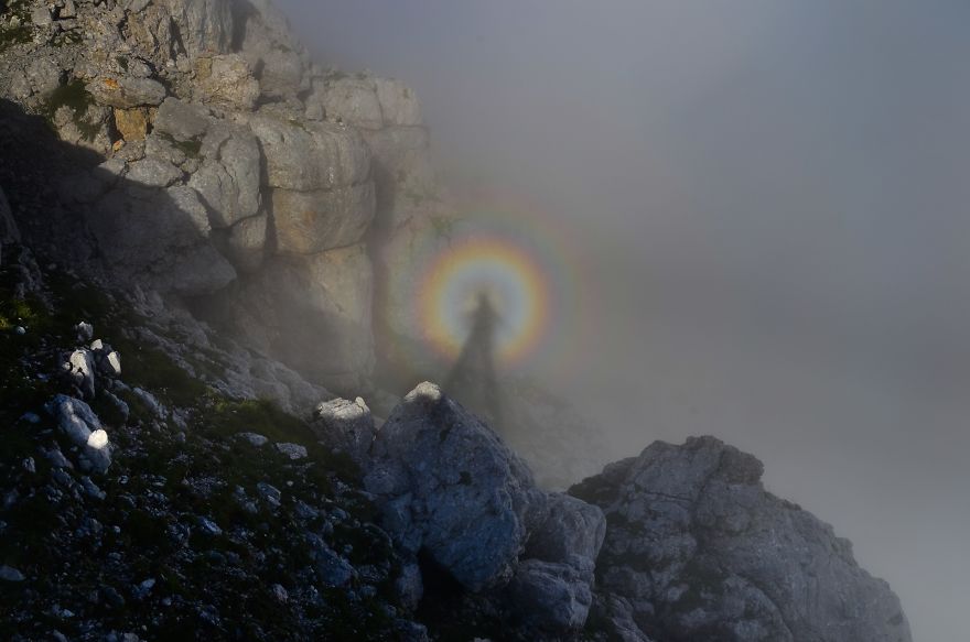 I Have Been Living In The Mountains For One Month I Have Been Living In The Mountains For One Month