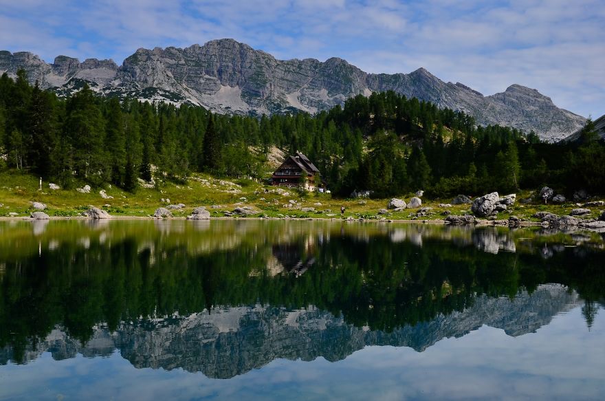 I Have Been Living In The Mountains For One Month I Have Been Living In The Mountains For One Month