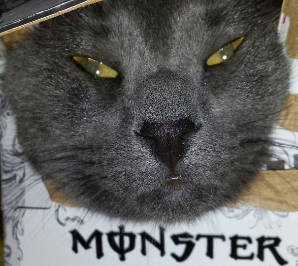 I'm That Thing That Goes Bump In The Night!