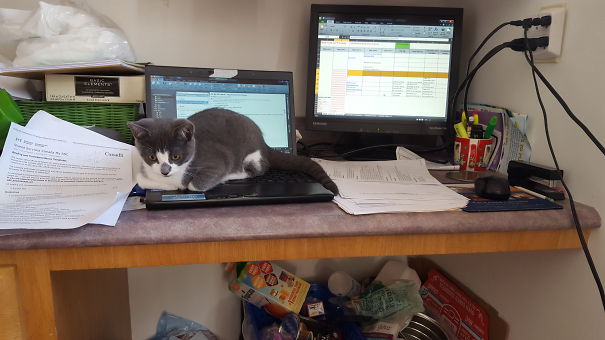 You Work For Me Remember?