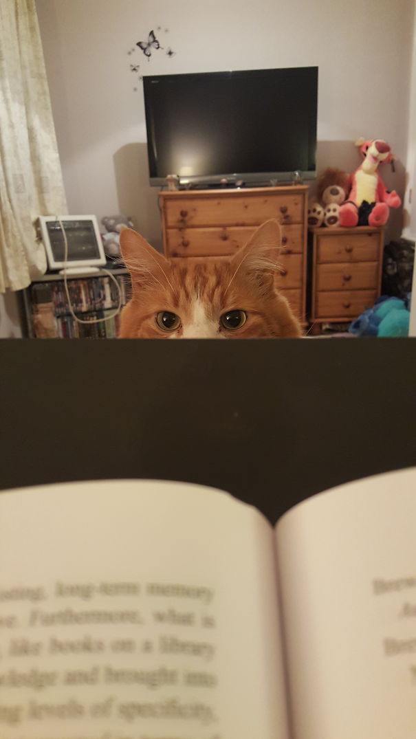 You Don't Look Busy.....gimme Attenshun !!