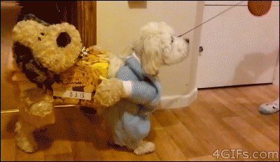 27 Furry Halloween Ideas To Make You Smile [in Gifs]