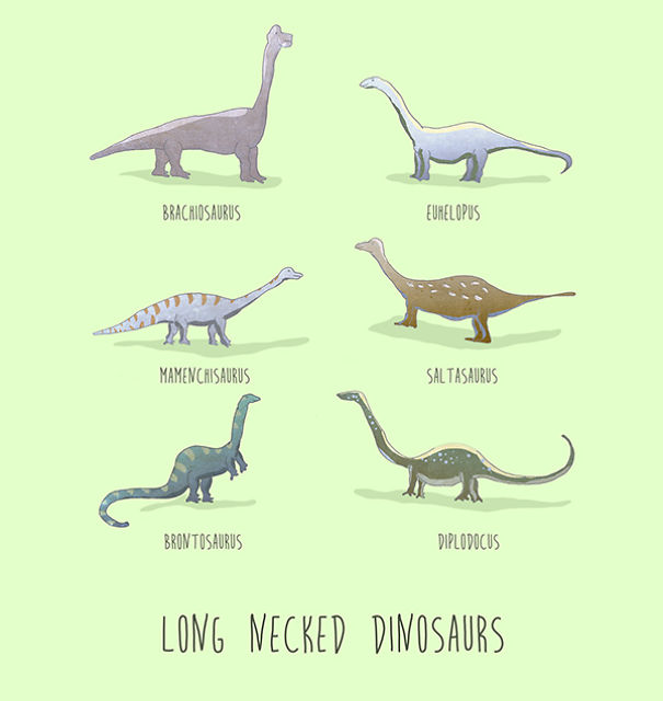 Dinosaurs Of The World