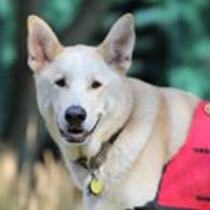 charlie14miller avatar