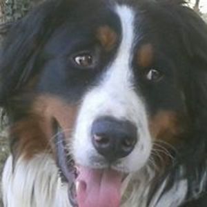 jackie_bacquie avatar