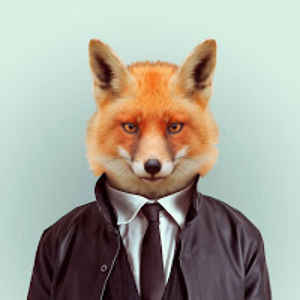 mr_fox avatar