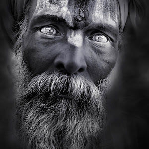 timothybridge avatar