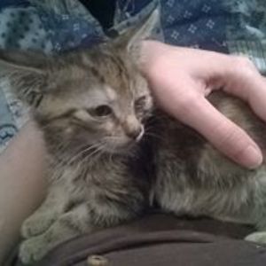 ariannahiggins avatar