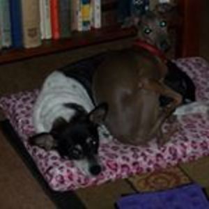 patience_miller avatar