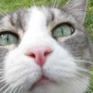 report2andrea avatar