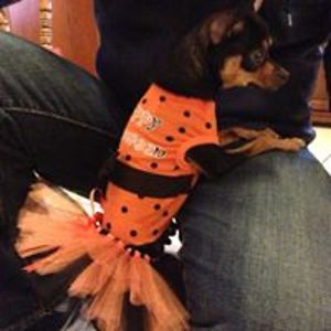 adrianallovetp avatar