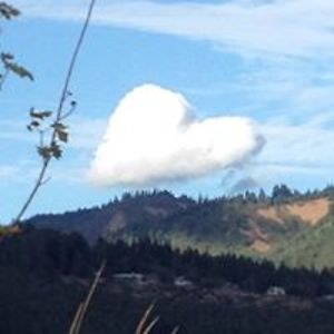 littleputmail avatar