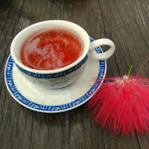 elizabethstutzman avatar