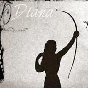 dianachebisheva avatar