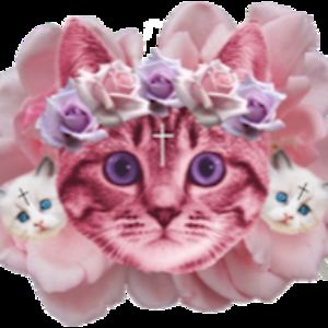 anavillanueva avatar