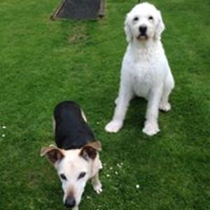 lesleywestlake avatar