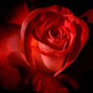 countrygracie avatar