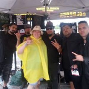 dashoundsrock333 avatar