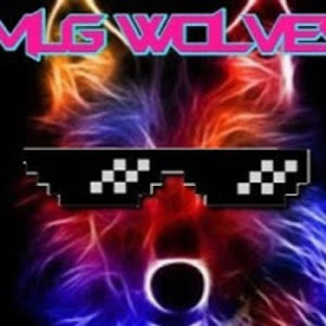 mlgwolves avatar