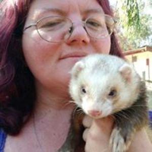 pieces_photography_2012 avatar