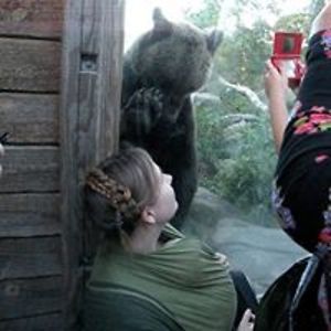 emma_ohrstrom_1 avatar