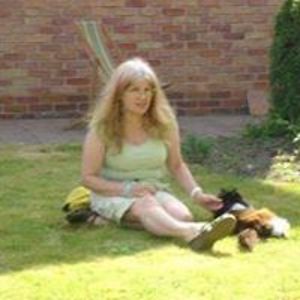 teresamlewis2002 avatar