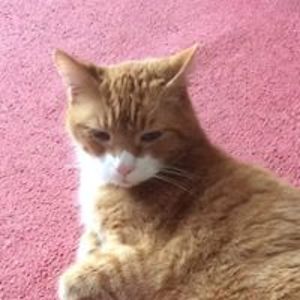 fionafisher1961 avatar