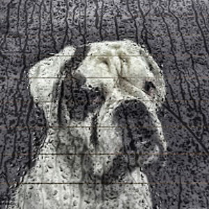 zoltnkutasikovcs avatar