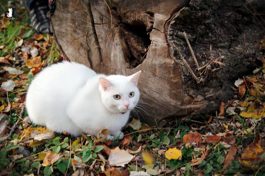 Marcelka - Fb.com/maniekimarcelka