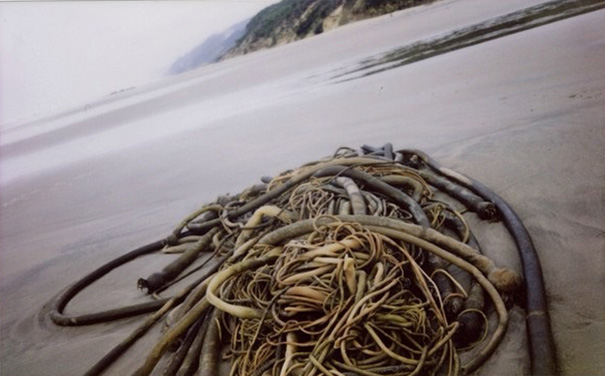 5-Year-Old Hawkeye Became The Youngest National Geographic Photographer And Now He's Making A Book 5-Year-Old Hawkeye Became The Youngest National Geographic Photographer And Now He's Making A Book