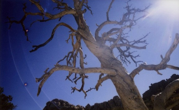 5-Year-Old Hawkeye Became The Youngest National Geographic Photographer And Now He's Making A Book 5-Year-Old Hawkeye Became The Youngest National Geographic Photographer And Now He's Making A Book