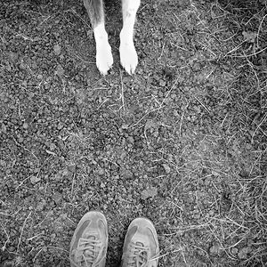 andreibaciu1983 avatar