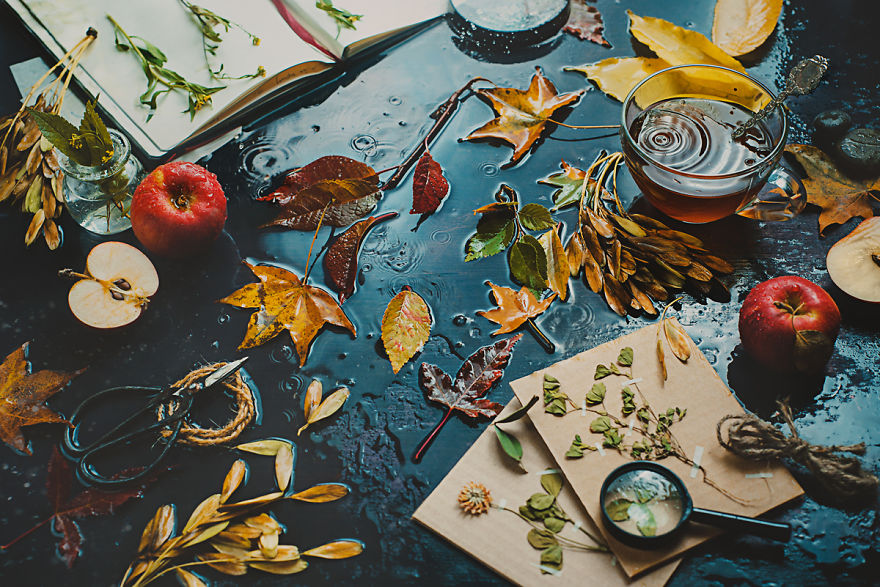 I Illustrate Moments Of Autumn And Rain With Still-Life Photography