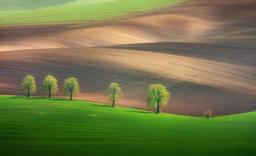 Hypnotizing Beauty Of Moravian Fields In The Czech Republic