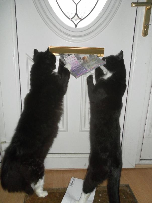 Bills, Bills, Bills.