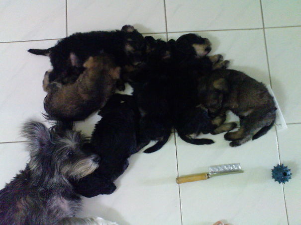 Feel Warm W Mummy Bell