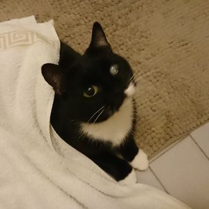 m_blankestijn avatar