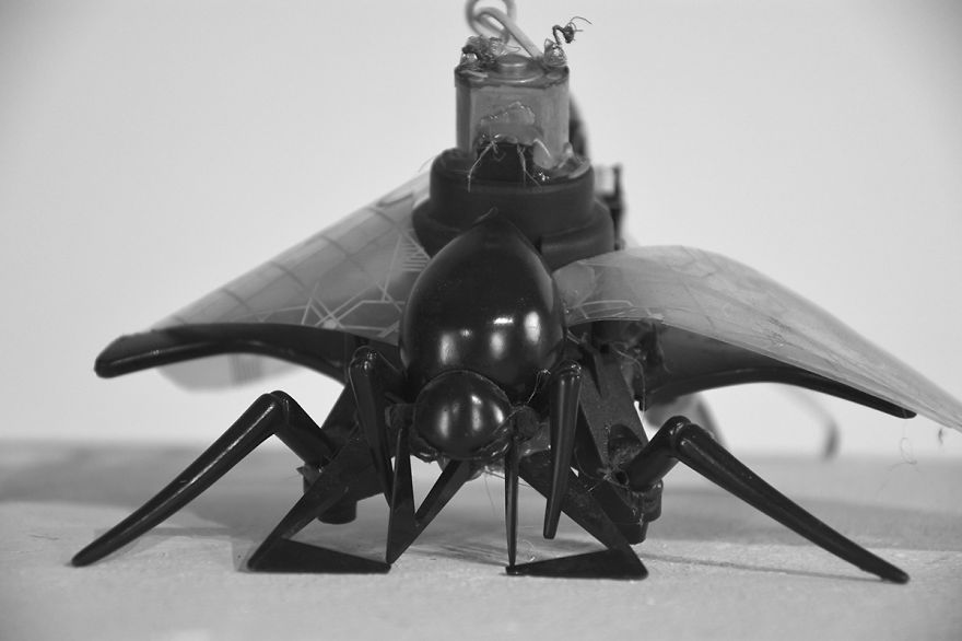 Animaux: I Turn Old, Discarded Electronic Devices Into Animal Sculptures Animaux: I Turn Old, Discarded Electronic Devices Into Animal Sculptures