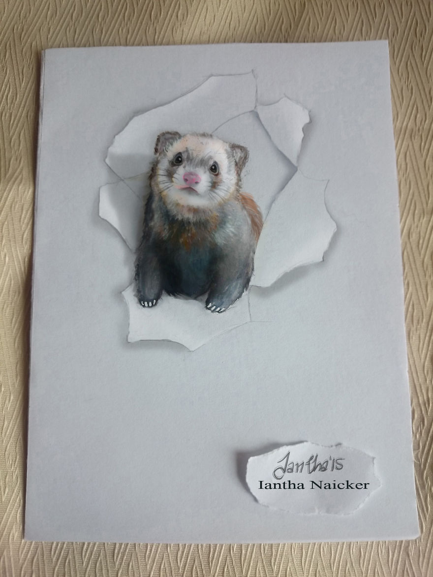 My Animal Drawings Try To Leap Off The Page