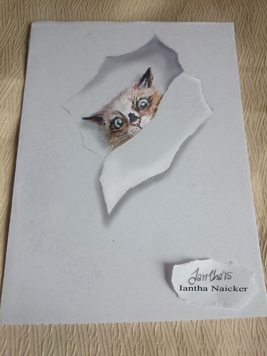 My Animal Drawings Try To Leap Off The Page