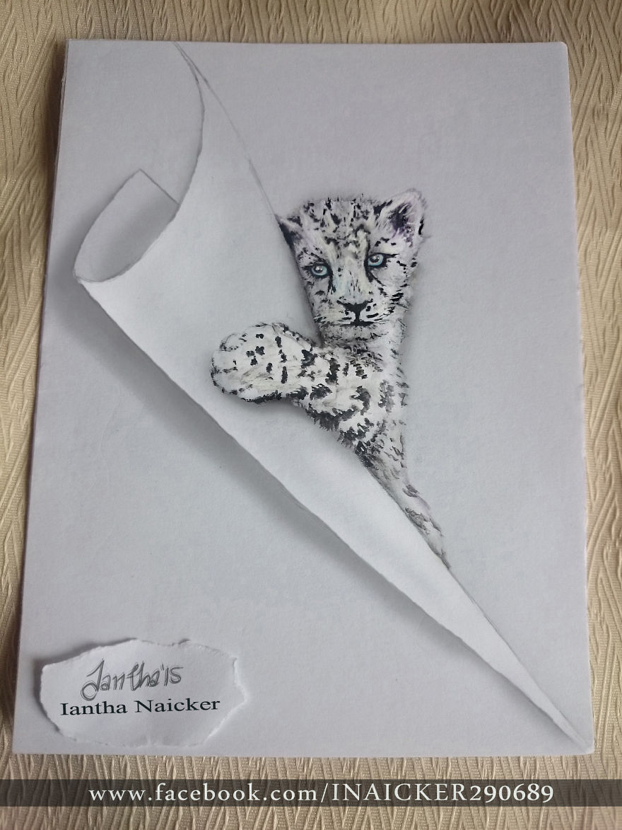 My Animal Drawings Try To Leap Off The Page