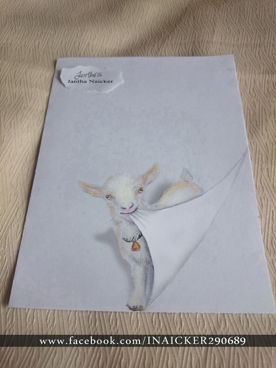 My Animal Drawings Try To Leap Off The Page